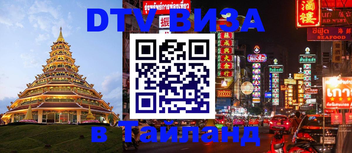 Оформление DTV визы под ключ: стоимость и тарифы, только загранпаспорт - Волжский 